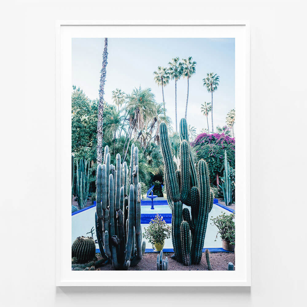 Marrakech Cacti