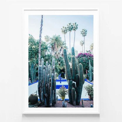 Marrakech Cacti