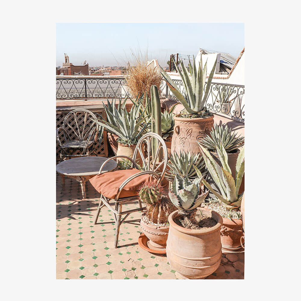 Marrakech Rooftop