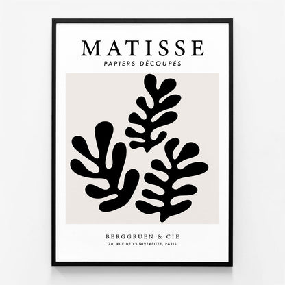 Matisse Black Coral No. 2