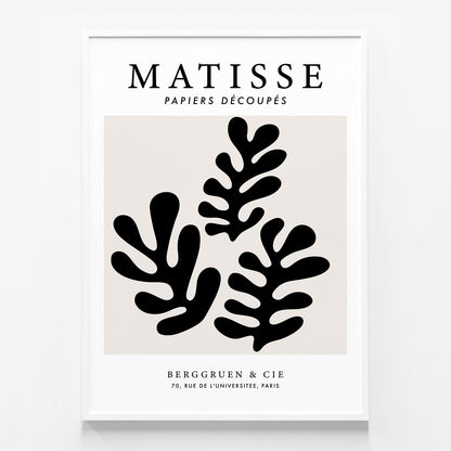 Matisse Black Coral No. 2
