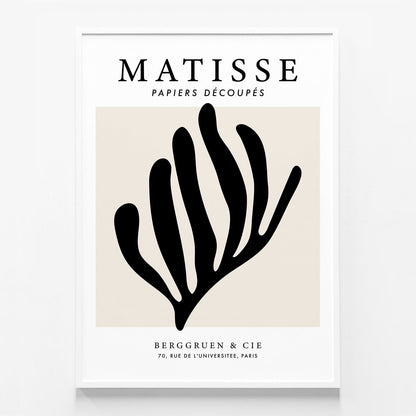 Matisse Black Coral