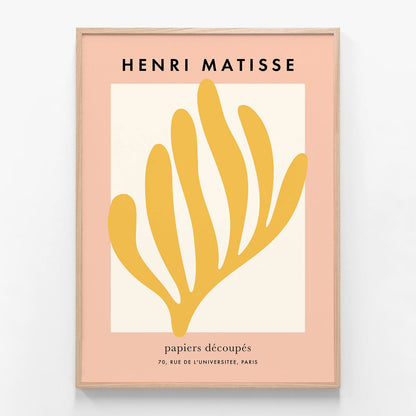 Matisse Coral No. 2
