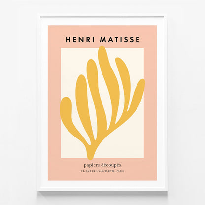 Matisse Coral No. 2