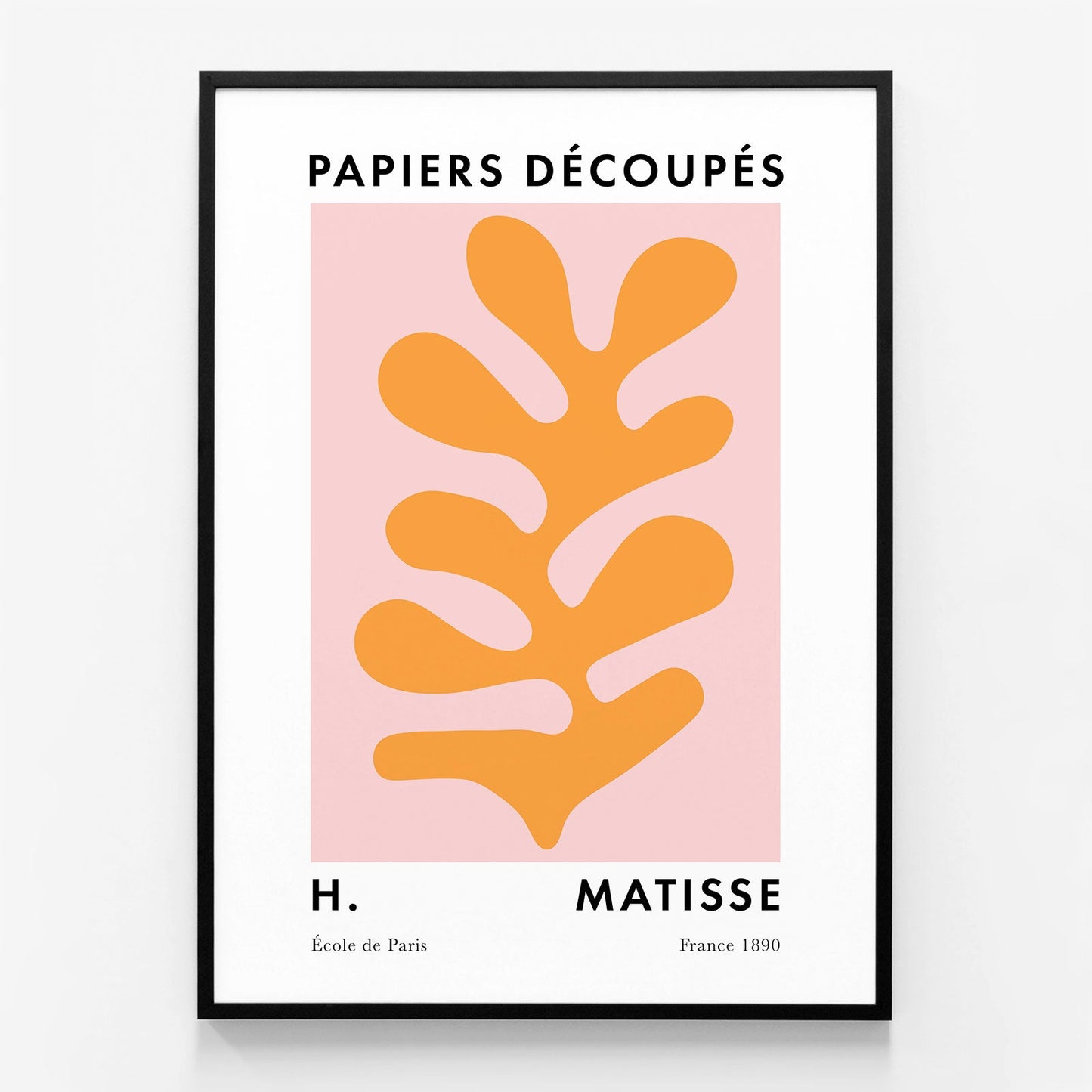 Matisse Orange Coral No. 4