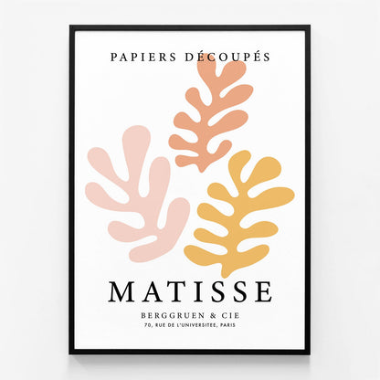 Matisse Peach Coral No. 1