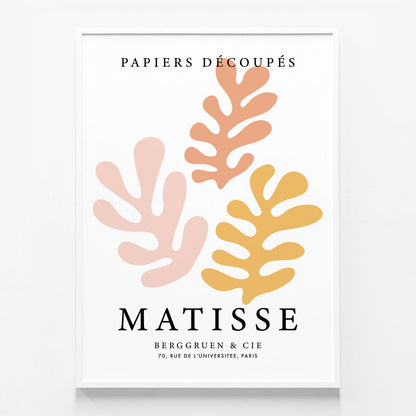 Matisse Peach Coral No. 1