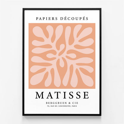 Matisse Peach Coral No. 3