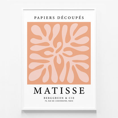 Matisse Peach Coral No. 3