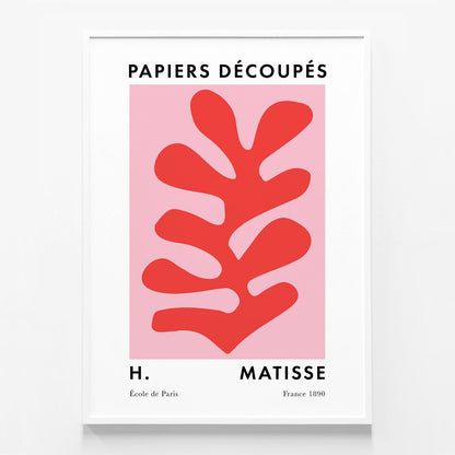 Matisse Red Coral No. 3