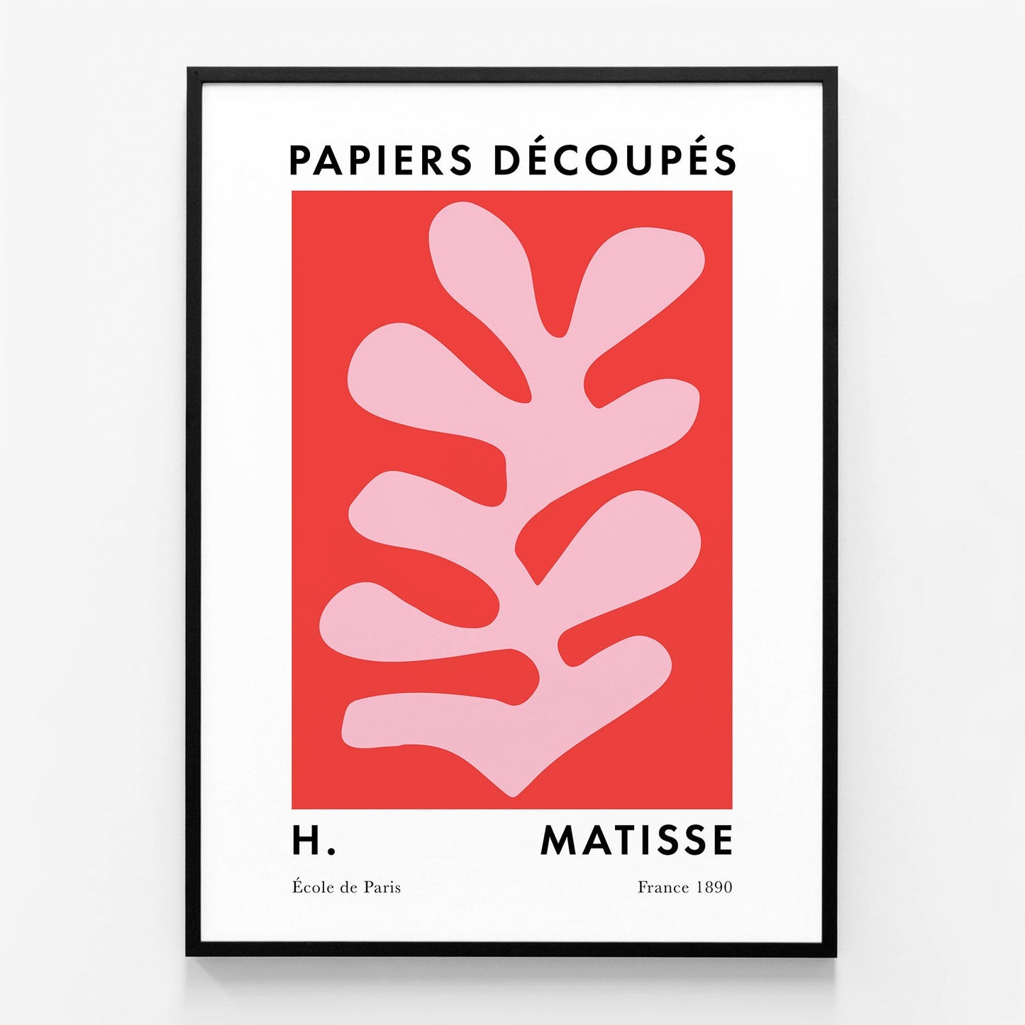 Matisse Red Coral No. 5
