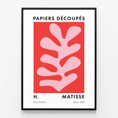Matisse Red Coral No. 5