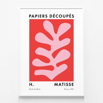 Matisse Red Coral No. 5