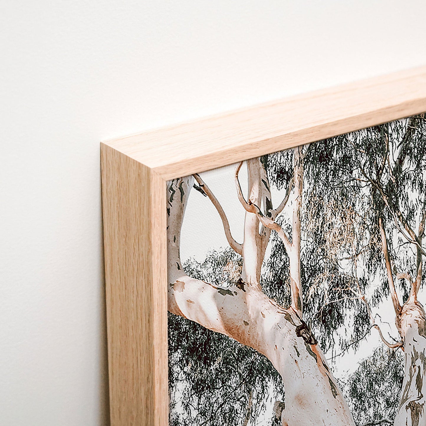 Mature Gum Canvas corner detail