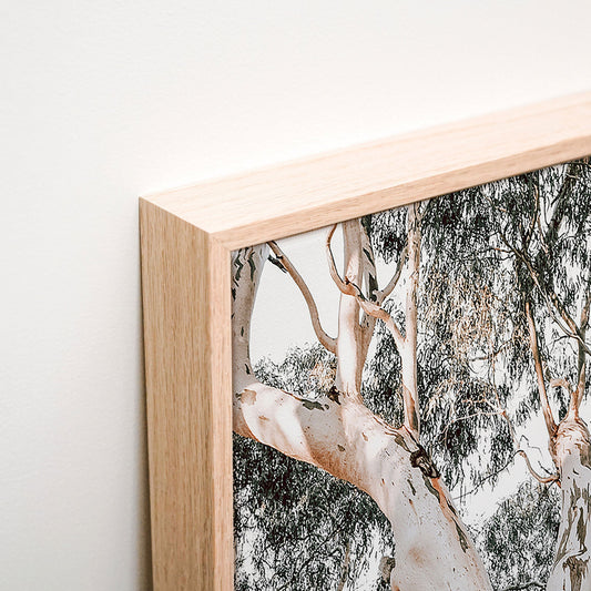 Mature Gum Canvas corner detail