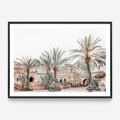 Medina Palms