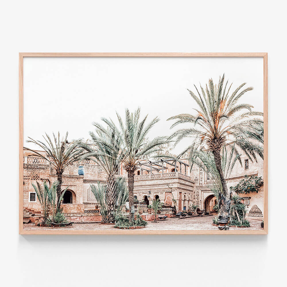 Medina Palms