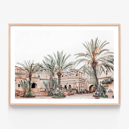 Medina Palms