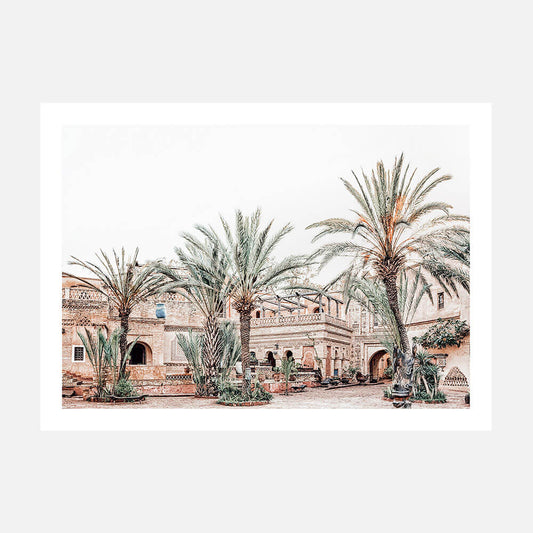 Medina Palms