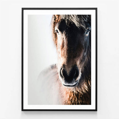 Misted Pony