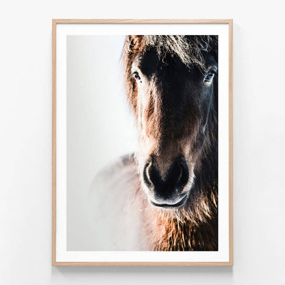 Misted Pony