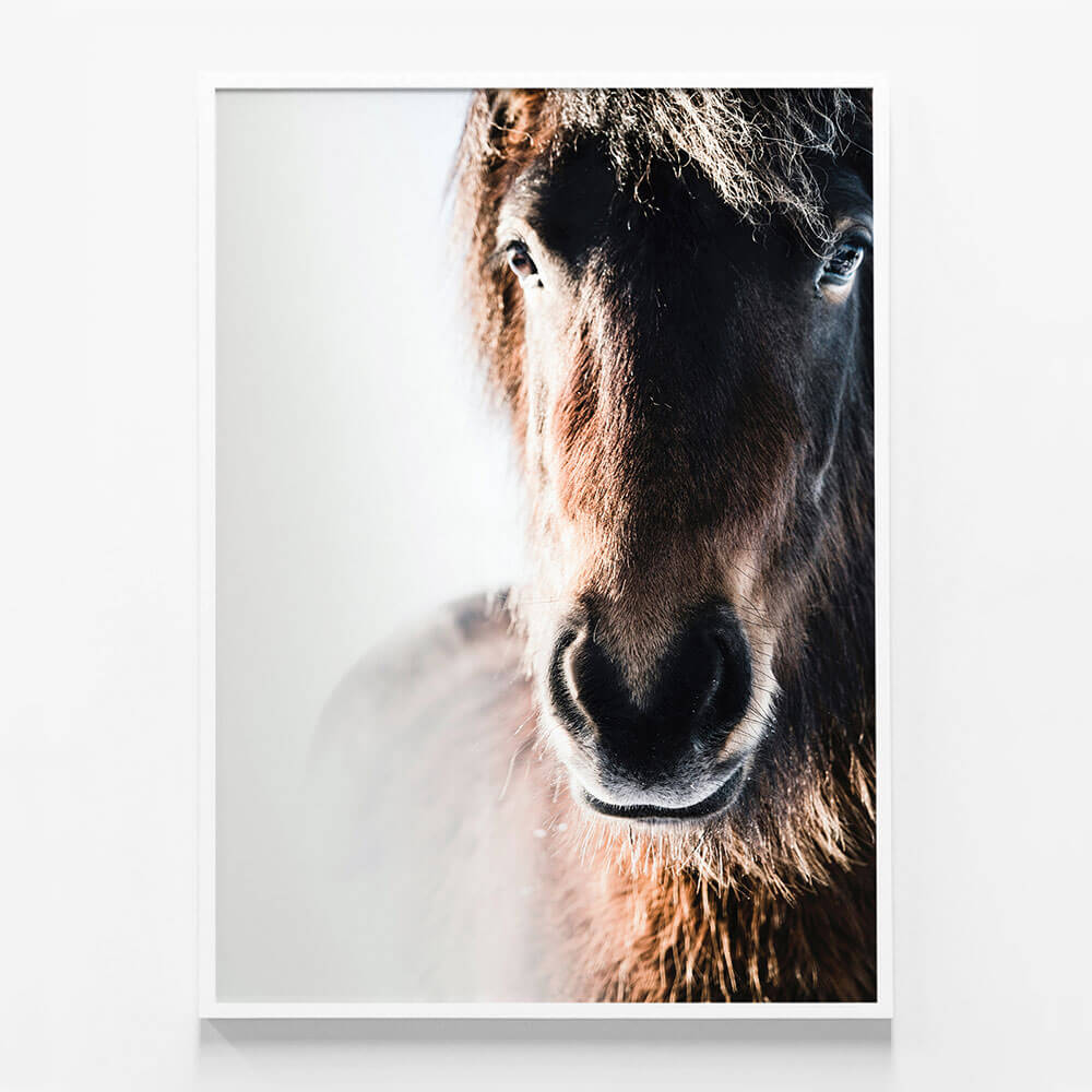 Misted Pony