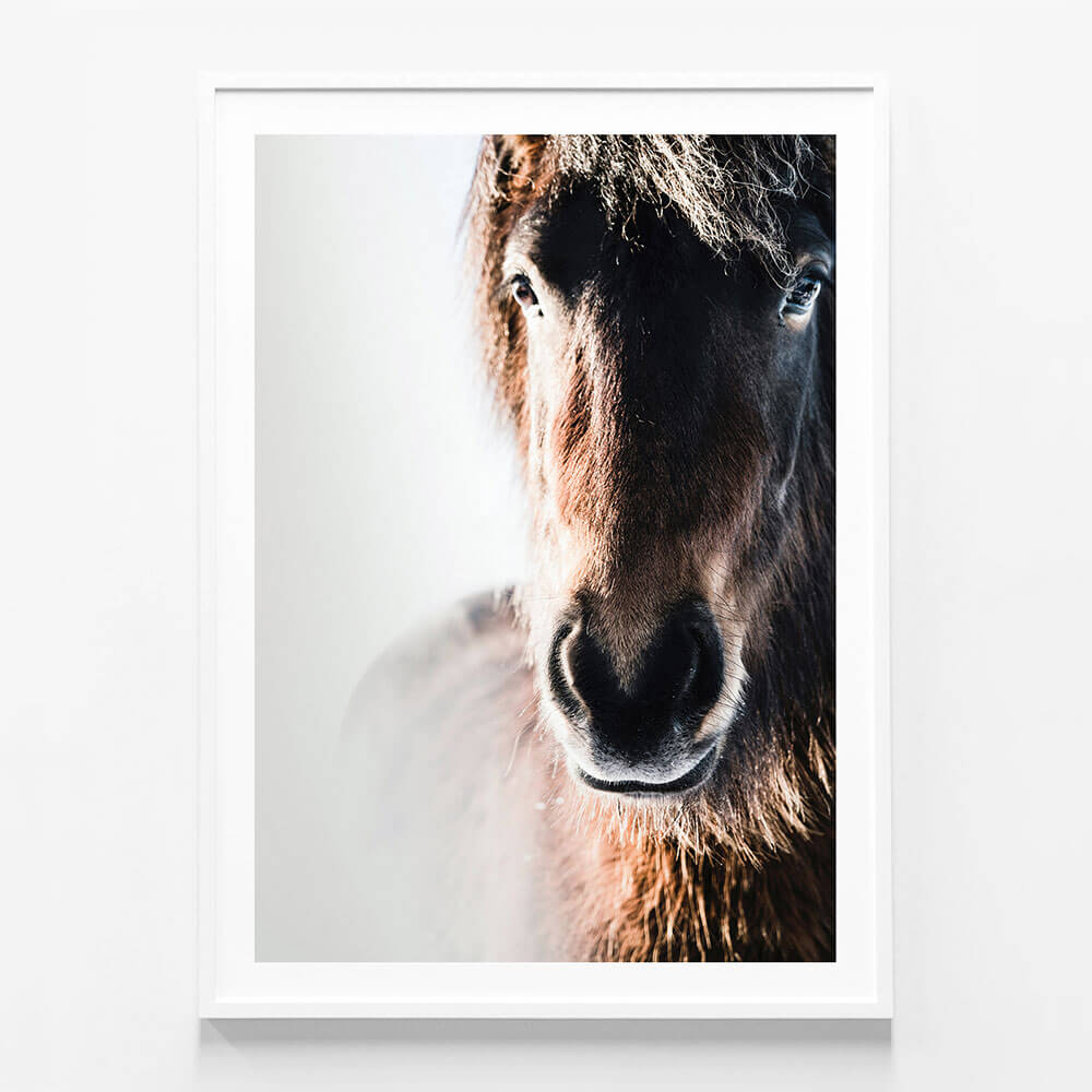 Misted Pony