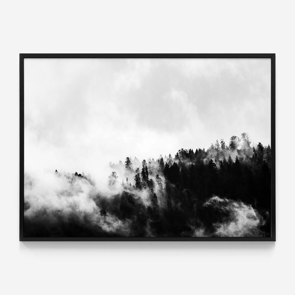 Misty Forest