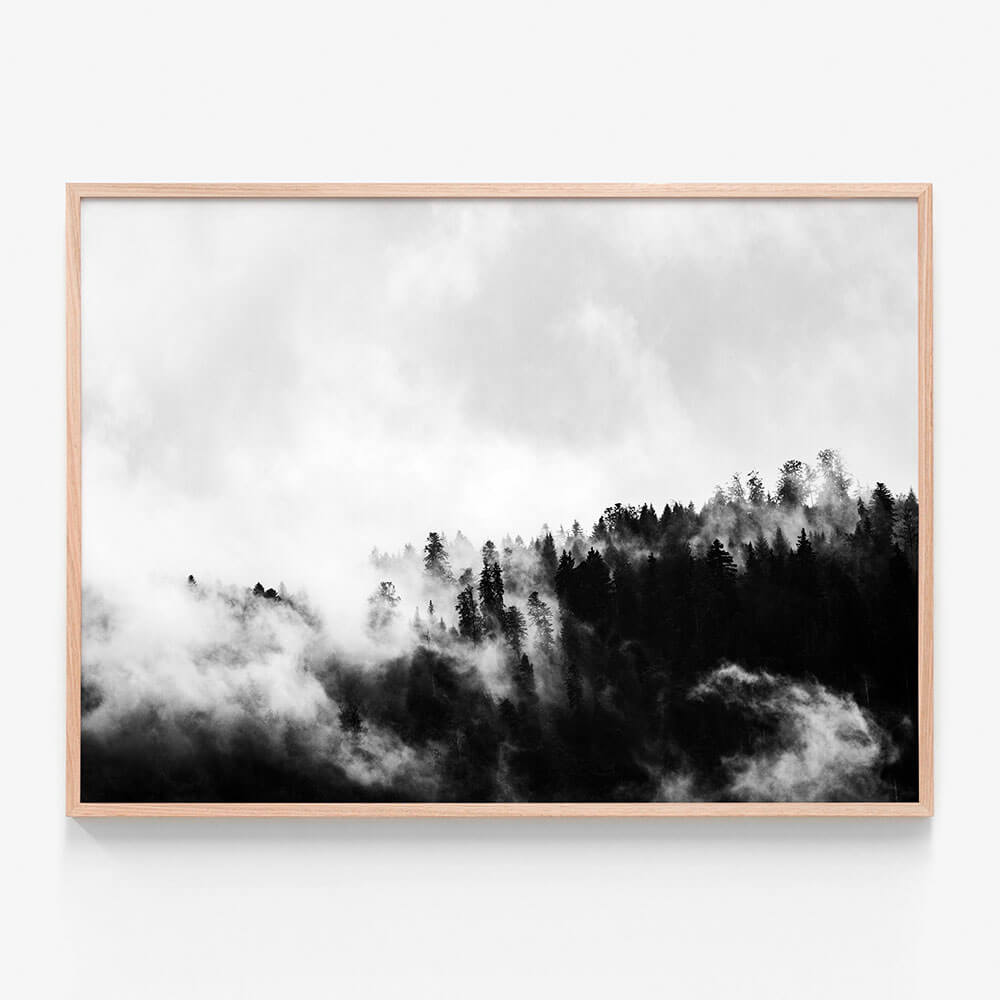 Misty Forest