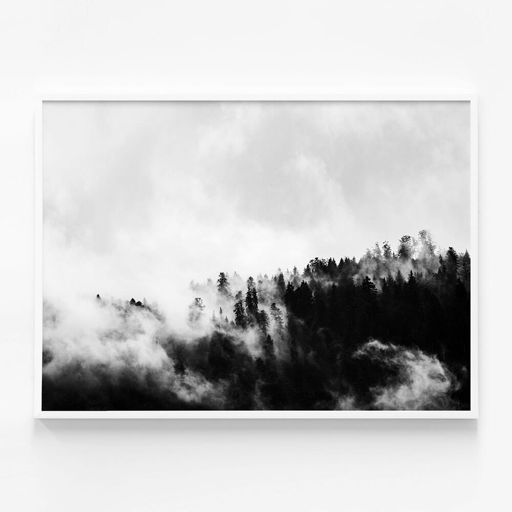 Misty Forest