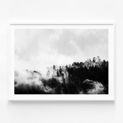 Misty Forest