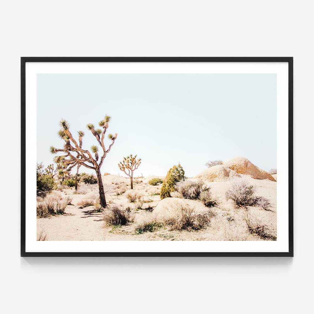 Mojave Desert