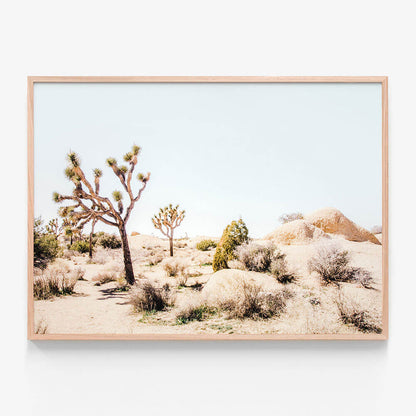 Mojave Desert