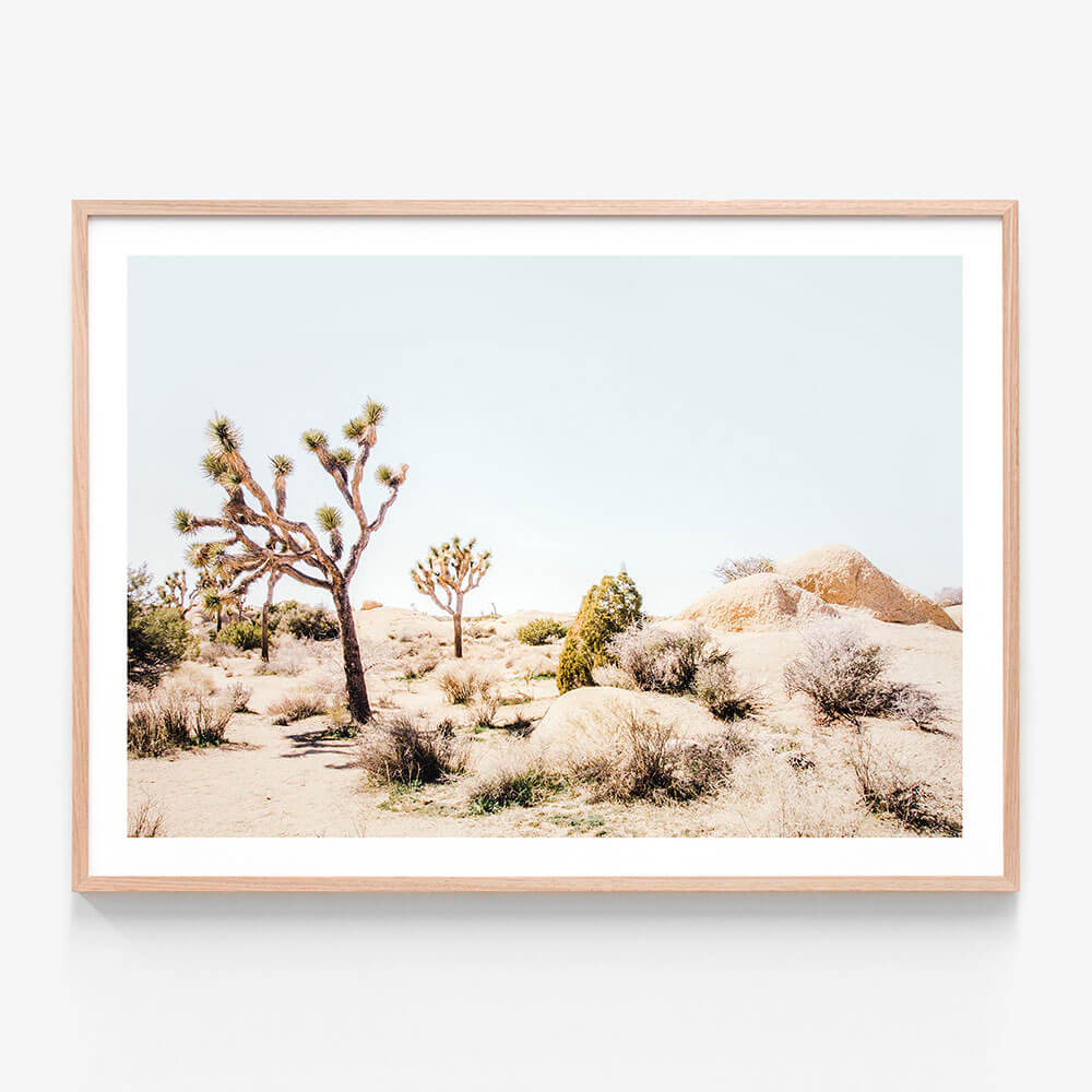 Mojave Desert