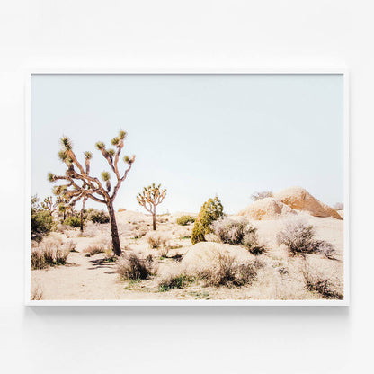 Mojave Desert