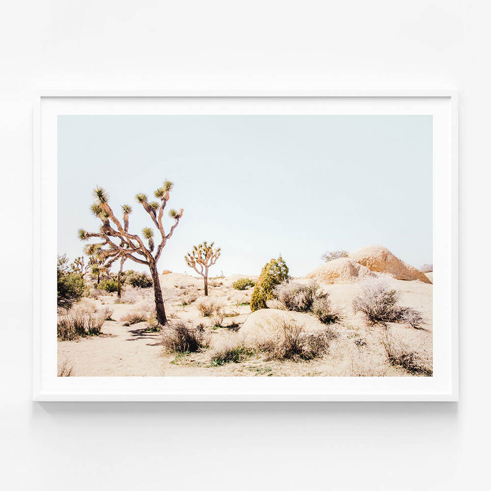 Mojave Desert