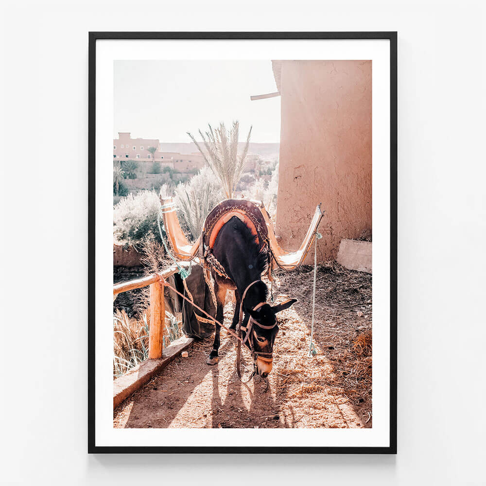 Moroccan Taxi