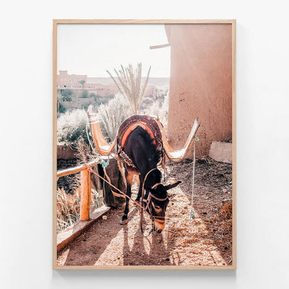 Moroccan Taxi