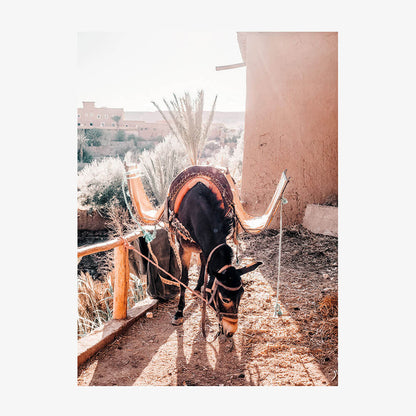 Moroccan Taxi