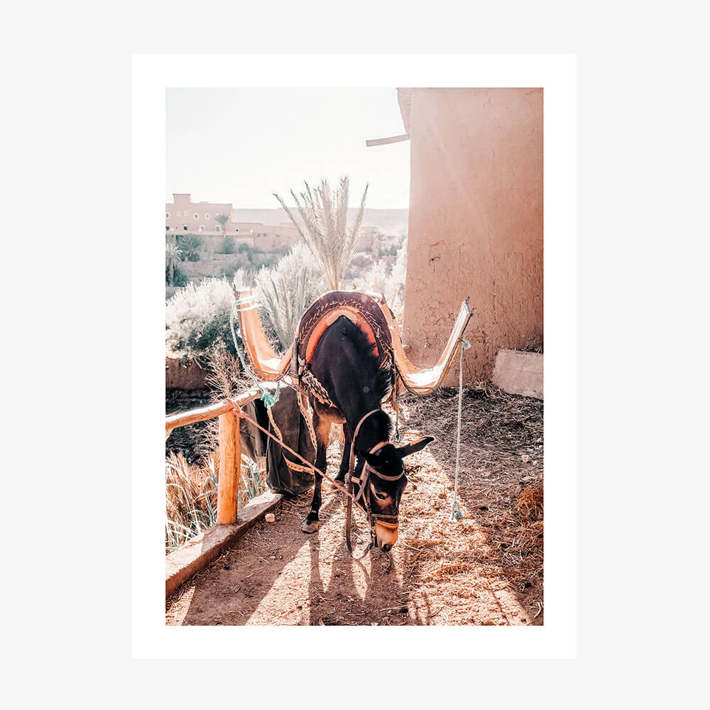 Moroccan Taxi