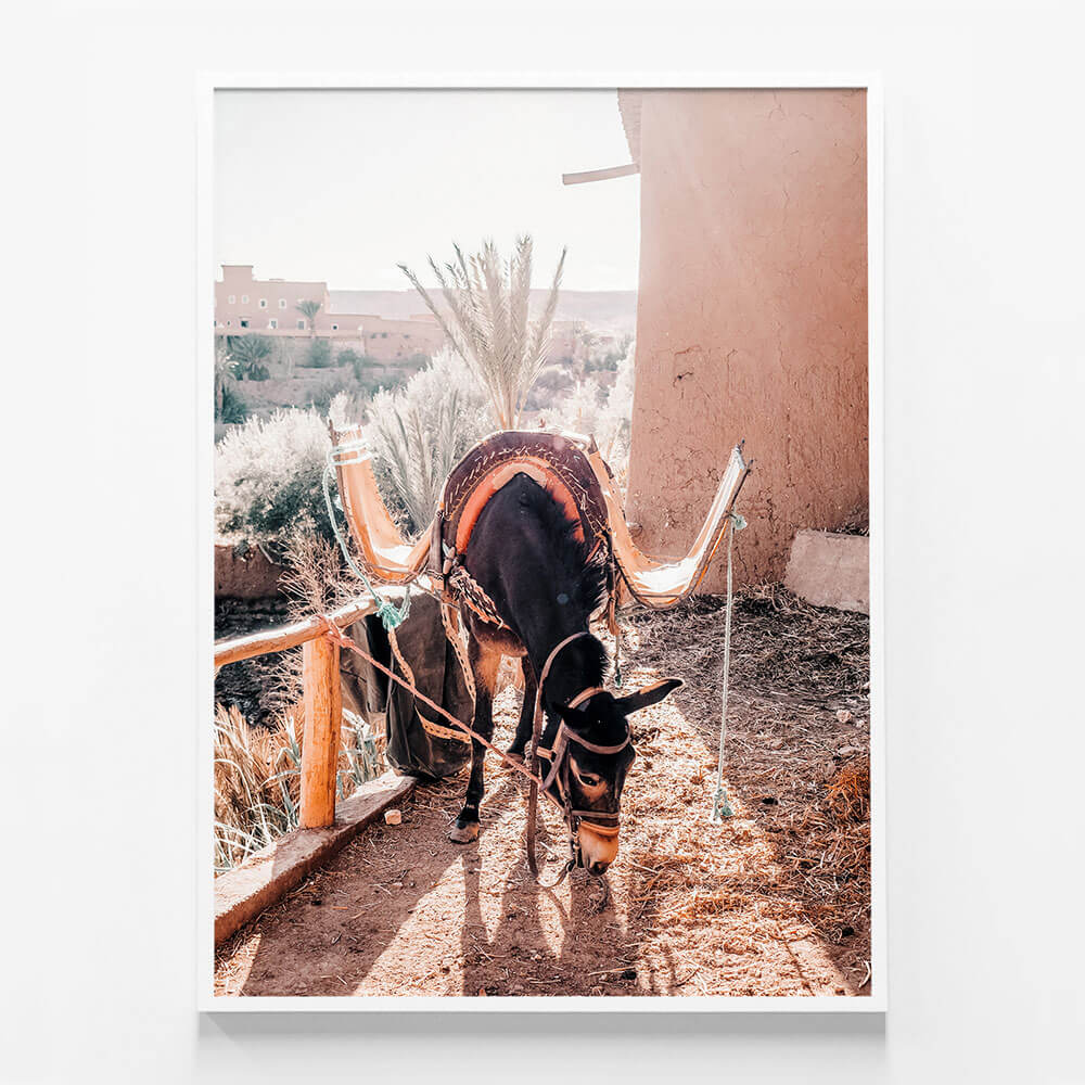 Moroccan Taxi