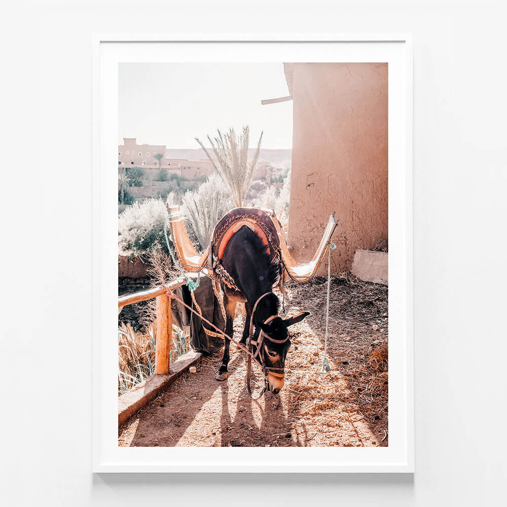 Moroccan Taxi