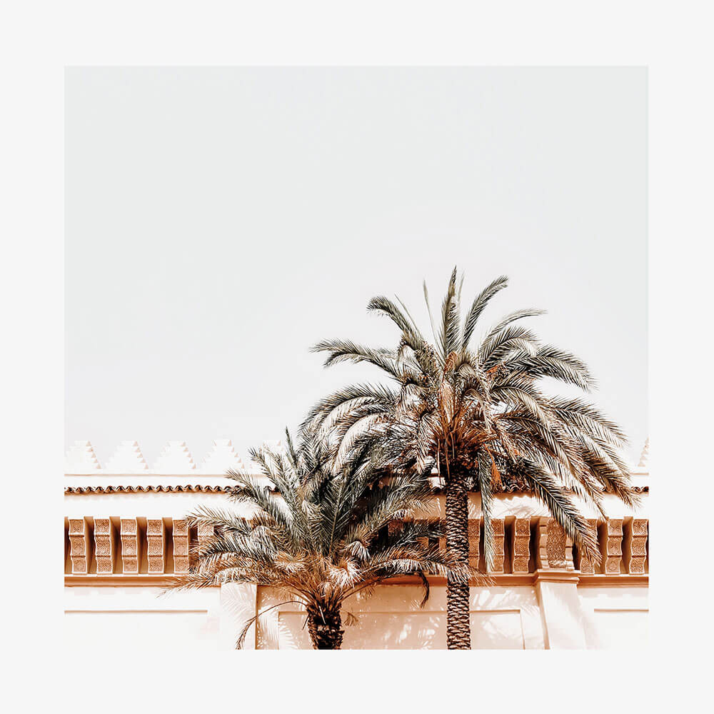 Moroccan View
