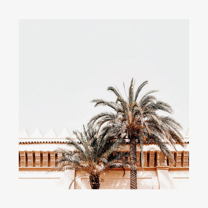 Moroccan View