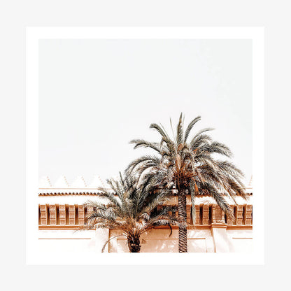 Moroccan View