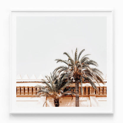Moroccan View