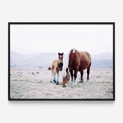 Mother & Foal