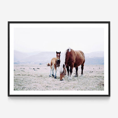 Mother & Foal
