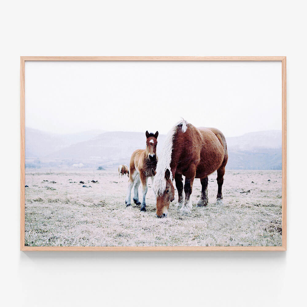 Mother & Foal