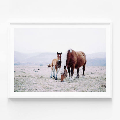 Mother & Foal